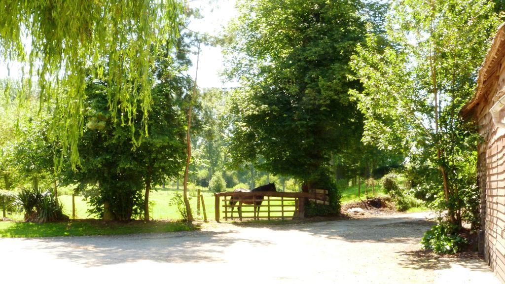 Ferme Des Chartroux Hotel Maresville Bagian luar foto